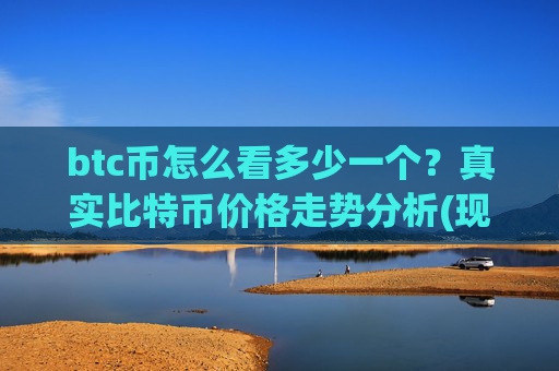 btc币怎么看多少一个？真实比特币价格走势分析(现价699030.14元)