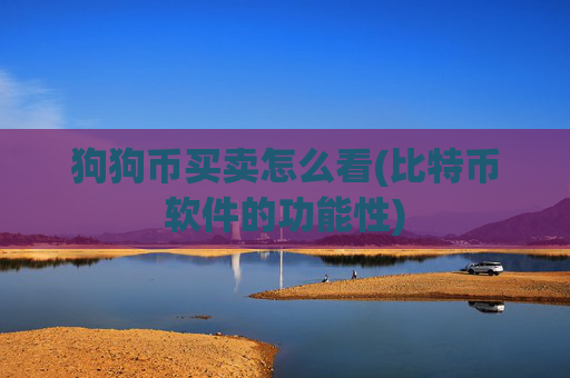 狗狗币买卖怎么看(比特币软件的功能性)