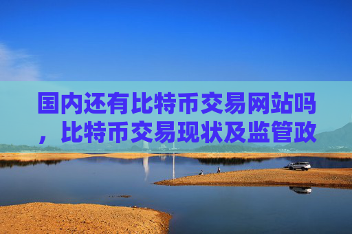 国内还有比特币交易网站吗，比特币交易现状及监管政策