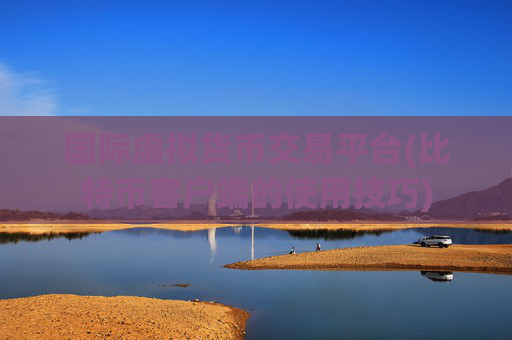 国际虚拟货币交易平台(比特币客户端的使用技巧)