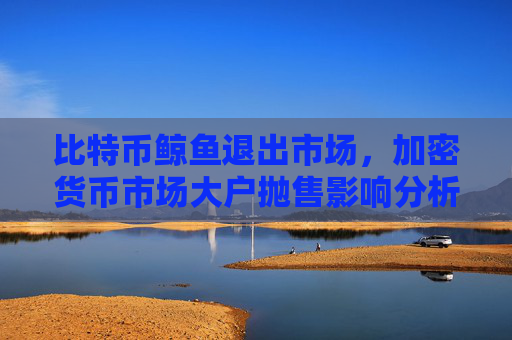 比特币鲸鱼退出市场，加密货币市场大户抛售影响分析