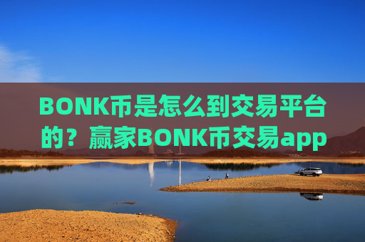 BONK币是怎么到交易平台的？赢家BONK币交易app下载