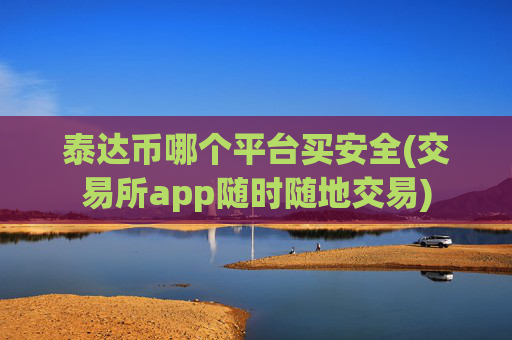 泰达币哪个平台买安全(交易所app随时随地交易)