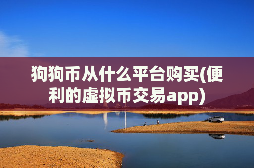 狗狗币从什么平台购买(便利的虚拟币交易app)