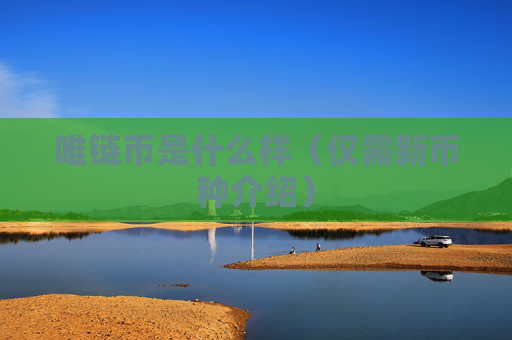 唯链币是什么样（仅需新币种介绍）