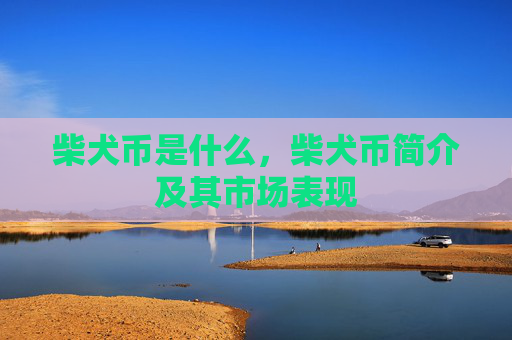 柴犬币是什么，柴犬币简介及其市场表现