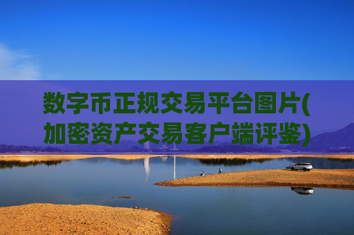 数字币正规交易平台图片(加密资产交易客户端评鉴)