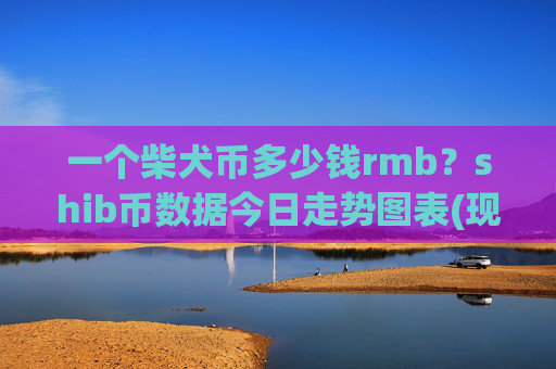 一个柴犬币多少钱rmb？shib币数据今日走势图表(现价0.00022434元)