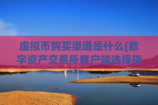 虚拟币购买渠道是什么(数字资产交易所客户端选择指南)