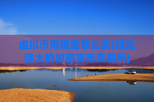 虚拟币用现金怎么买(稳定强大的加密货币交易所)