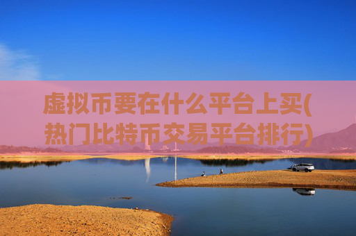 虚拟币要在什么平台上买(热门比特币交易平台排行)