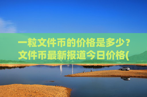 一粒文件币的价格是多少？文件币最新报道今日价格(现价55.9979元)