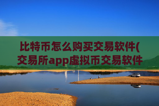 比特币怎么购买交易软件(交易所app虚拟币交易软件)