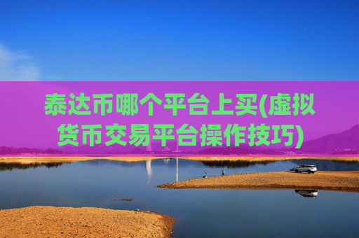 泰达币哪个平台上买(虚拟货币交易平台操作技巧)