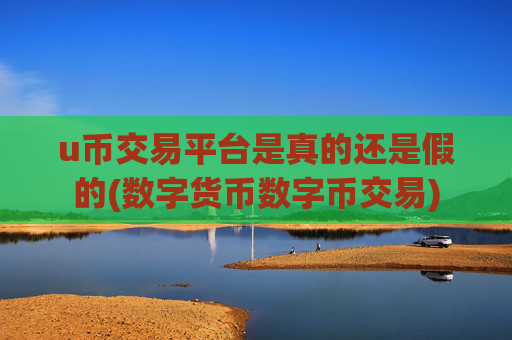 u币交易平台是真的还是假的(数字货币数字币交易)