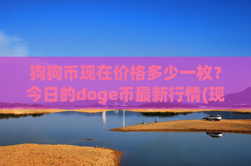 狗狗币现在价格多少一枚？今日的doge币最新行情(现价3.1289元)