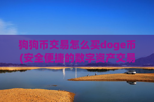 狗狗币交易怎么买doge币(安全便捷的数字资产交易平台)