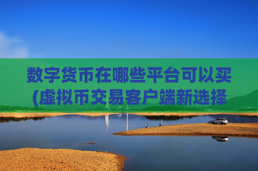 数字货币在哪些平台可以买(虚拟币交易客户端新选择)