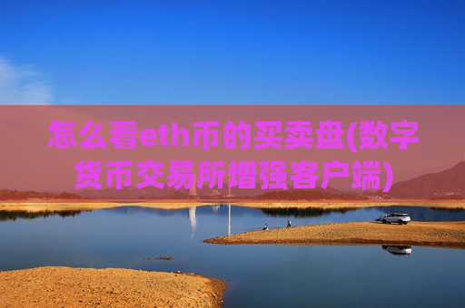 怎么看eth币的买卖盘(数字货币交易所增强客户端)