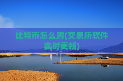 比特币怎么购(交易所软件实时更新)