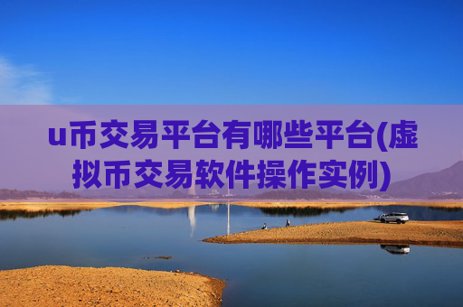u币交易平台有哪些平台(虚拟币交易软件操作实例)