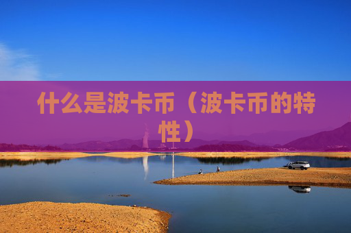 什么是波卡币（波卡币的特性）