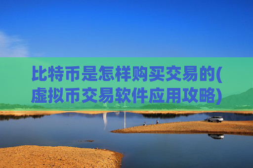 比特币是怎样购买交易的(虚拟币交易软件应用攻略)