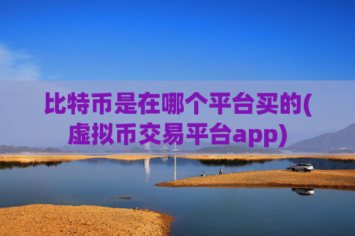 比特币是在哪个平台买的(虚拟币交易平台app)