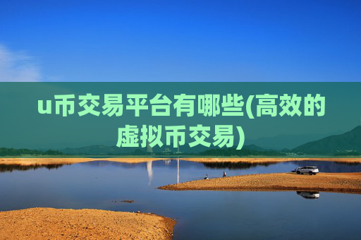 u币交易平台有哪些(高效的虚拟币交易)