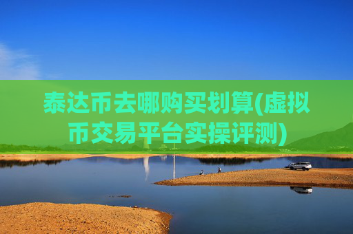 泰达币去哪购买划算(虚拟币交易平台实操评测)