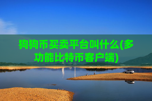 狗狗币买卖平台叫什么(多功能比特币客户端)