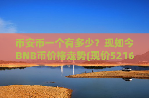 币安币一个有多少？现如今BNB币价格走势(现价5216.99元)
