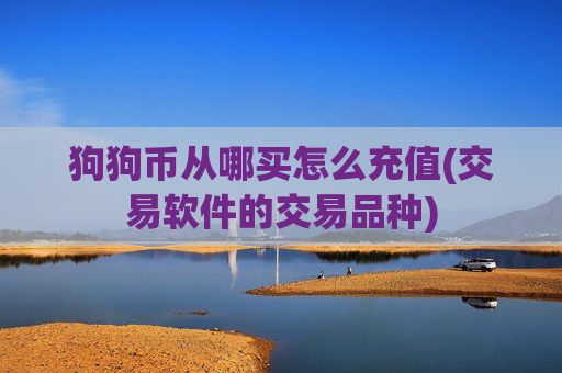 狗狗币从哪买怎么充值(交易软件的交易品种)