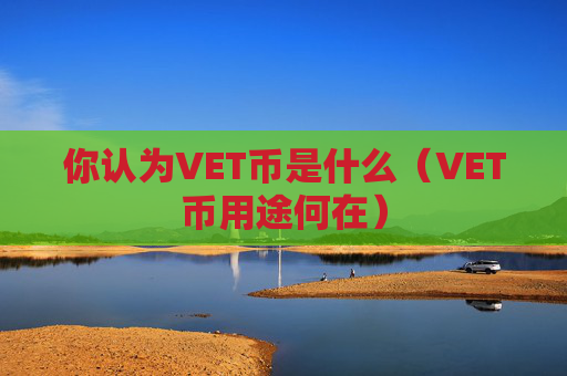 你认为VET币是什么（VET币用途何在）
