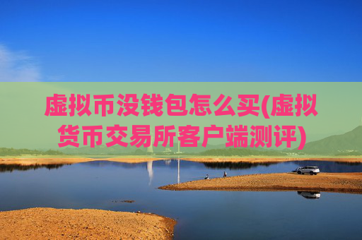 虚拟币没钱包怎么买(虚拟货币交易所客户端测评)