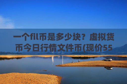 一个fil币是多少块？虚拟货币今日行情文件币(现价55.9254元)