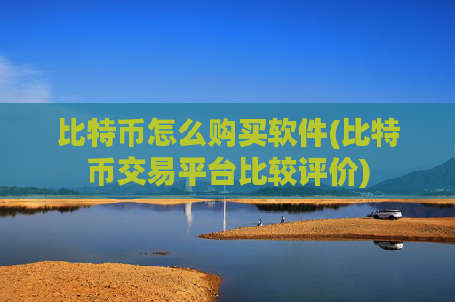 比特币怎么购买软件(比特币交易平台比较评价)