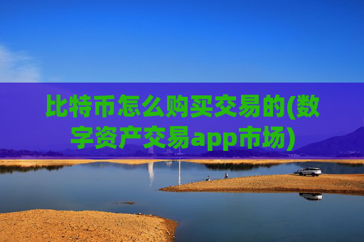 比特币怎么购买交易的(数字资产交易app市场)
