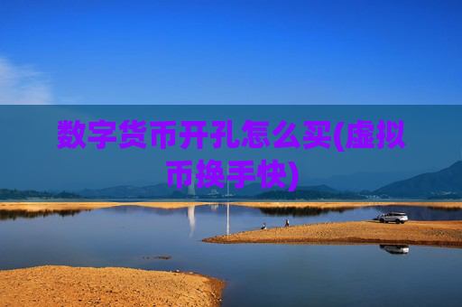 数字货币开孔怎么买(虚拟币换手快)