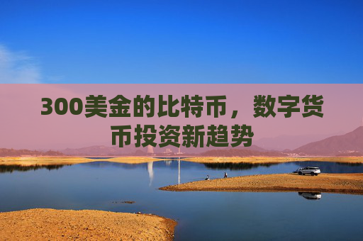 300美金的比特币，数字货币投资新趋势