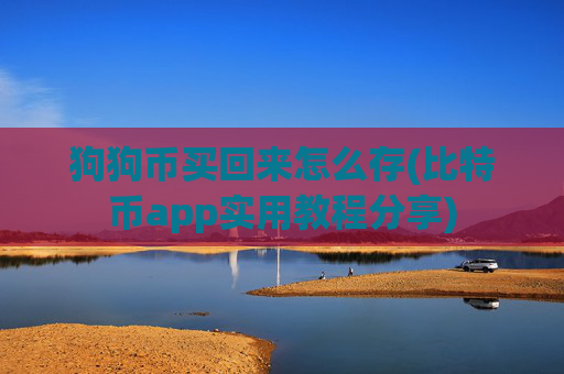 狗狗币买回来怎么存(比特币app实用教程分享)