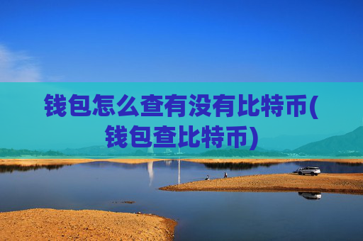 钱包怎么查有没有比特币(钱包查比特币)