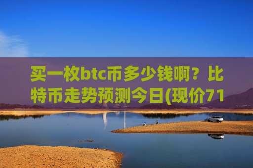 买一枚btc币多少钱啊？比特币走势预测今日(现价717201.46元)