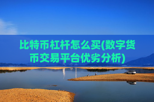 比特币杠杆怎么买(数字货币交易平台优劣分析)