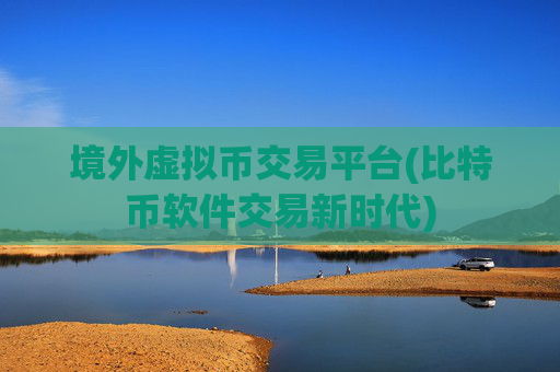 境外虚拟币交易平台(比特币软件交易新时代)