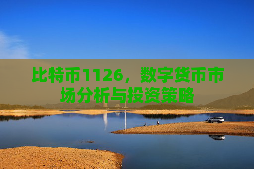 比特币1126，数字货币市场分析与投资策略