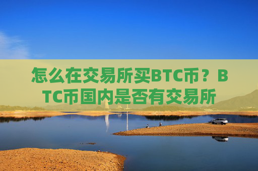 怎么在交易所买BTC币？BTC币国内是否有交易所