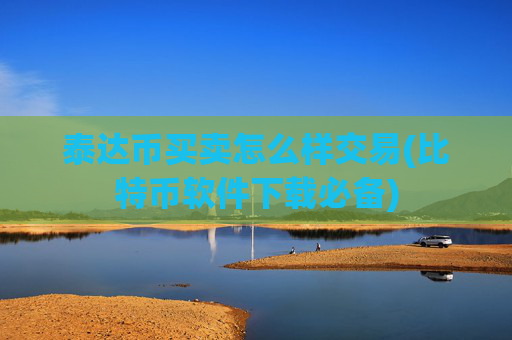 泰达币买卖怎么样交易(比特币软件下载必备)