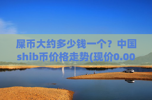 屎币大约多少钱一个？中国shib币价格走势(现价0.00021679元)
