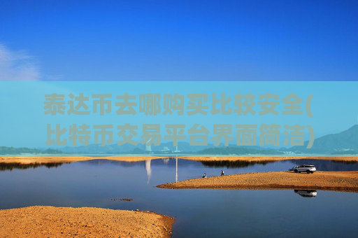 泰达币去哪购买比较安全(比特币交易平台界面简洁)